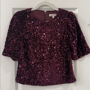 PERFECT FOR NYE! 
Nanette Lapore Plum Sequin Blouse - Size Medium